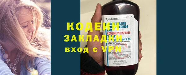 прущие грибы Дмитровск